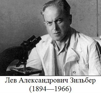 Лев Александрович Зильбер